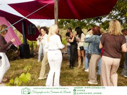 Festival Mar de Tethys 2026 - Bodega Vetas